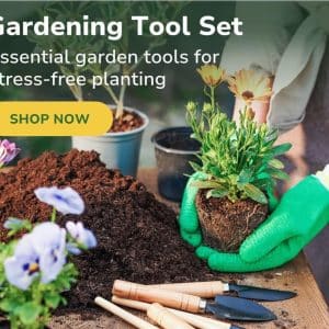 Tools and accessories for garden needs
